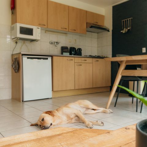 BUNGALOW 8 personnes - IJssel Plus (4+4)