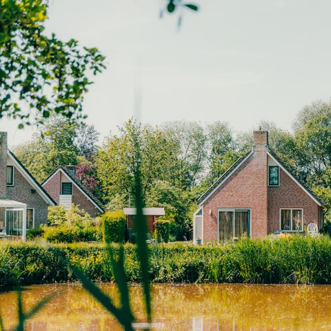 BUNGALOW 6 personnes - Schipbeek Plus