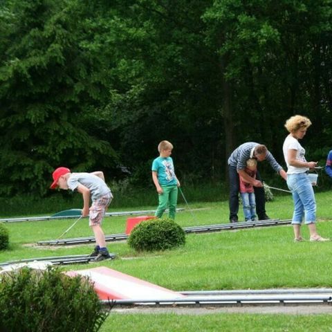 Vakantiepark Sallandshoeve Vakantiepark Sallandshoeve - Camping Raalte - Image N°33