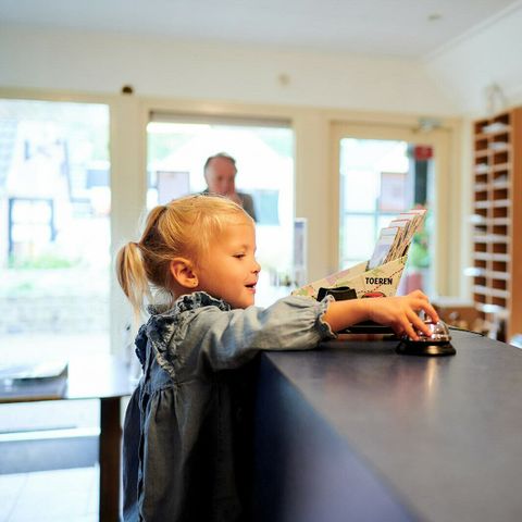 Vakantiepark Sallandshoeve Vakantiepark Sallandshoeve - Camping Raalte - Image N°28
