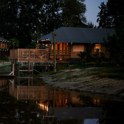 Vakantiepark Sallandshoeve Vakantiepark Sallandshoeve - Camping Raalte - Image N°36