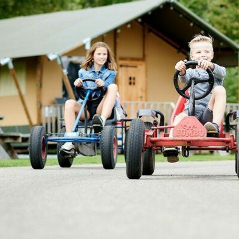 Vakantiepark Sallandshoeve Vakantiepark Sallandshoeve - Camping Raalte - Image N°22