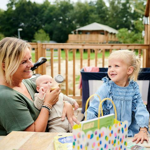 Vakantiepark Sallandshoeve Vakantiepark Sallandshoeve - Camping Raalte - Image N°37