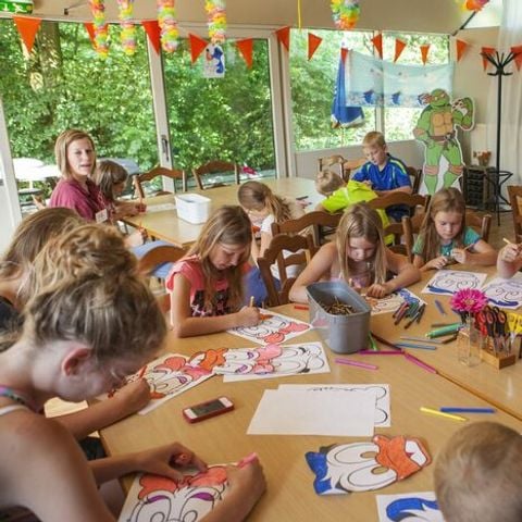 Vakantiepark Sallandshoeve Vakantiepark Sallandshoeve - Camping Raalte - Image N°27