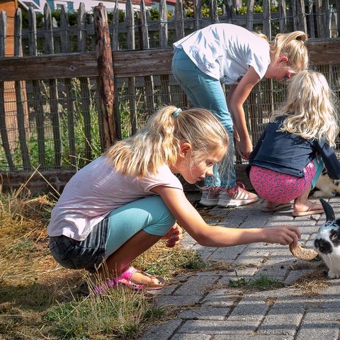 Camping 't Geuldal Camping 't Geuldal - Camping Valkenburg aan de Geul - Image N°21