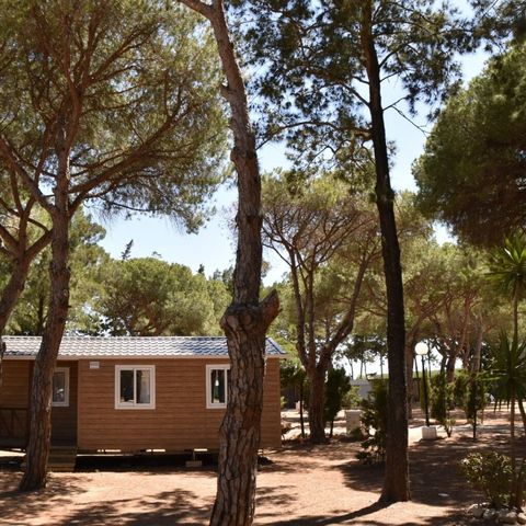 Bungalow 4 persons - Comfort Poniente