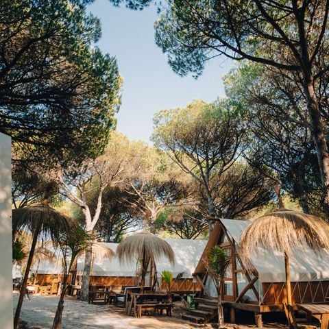 Tente en toile et en bois 4 personnes - Glamping Tipi Retama