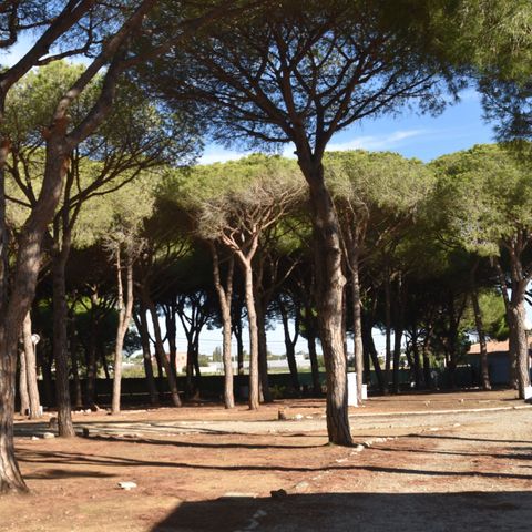 Camping Conil Camping Conil - Camping Cadix - Image N°16