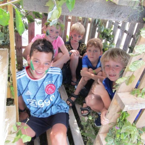 Camping Betuwestrand Camping Betuwestrand - Camping West-Betuwe - Image N°40