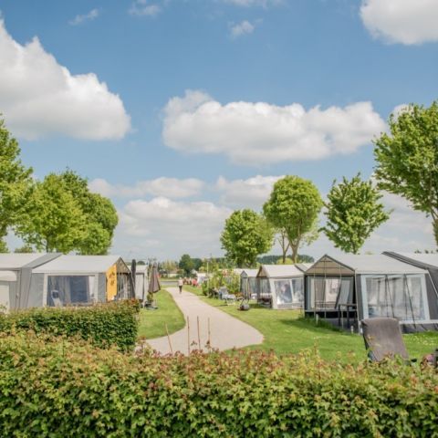 Camping Betuwestrand Camping Betuwestrand - Camping West-Betuwe - Image N°31