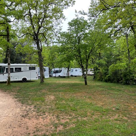 Kampeerplaats - Camper oppervlakte 35-50 m² 1/6 pers
