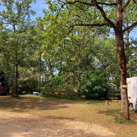 PARCELA - Parcela 100m² 1/7 pers