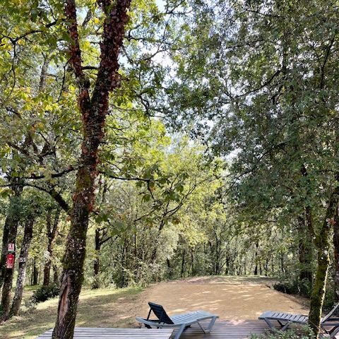 STAANPLAATS - Kampeerplaats PREMIUM mini 120m² 1/7 pers