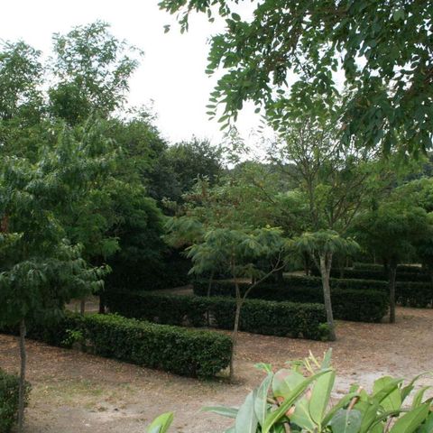 PARCELA - Parcela Camping Car - 1 persona incluida