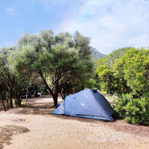 PARCELA - Parcela