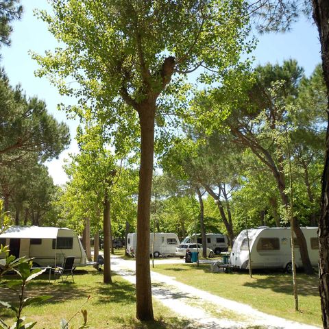 Kampeerplaats - Hond (Camper max 7mt)