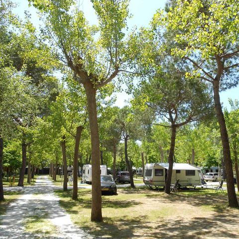 Kampeerplaats - Hond (Camper max 7mt)