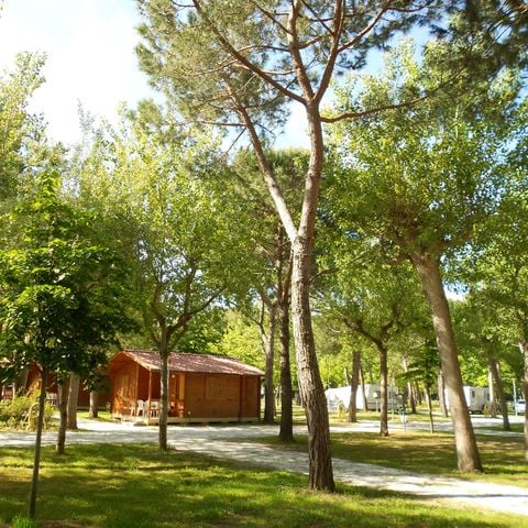 Chalet 5 personen - Standard
