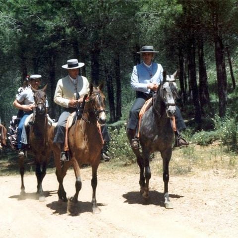 Camping Madronal Camping Madronal - Camping Huelva - Image N°22