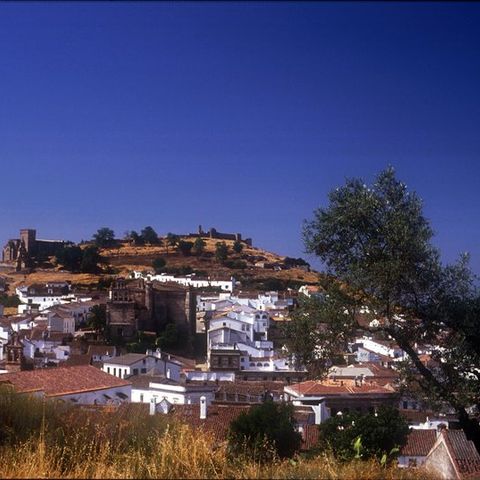 Camping Madronal Camping Madronal - Camping Huelva - Image N°16