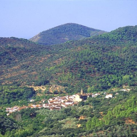 Camping Madronal Camping Madronal - Camping Huelva - Image N°20