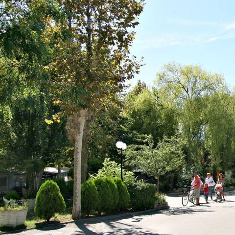 Stellplatz - Auto + Zelt/Wohnwagen oder Wohnmobil + Strom