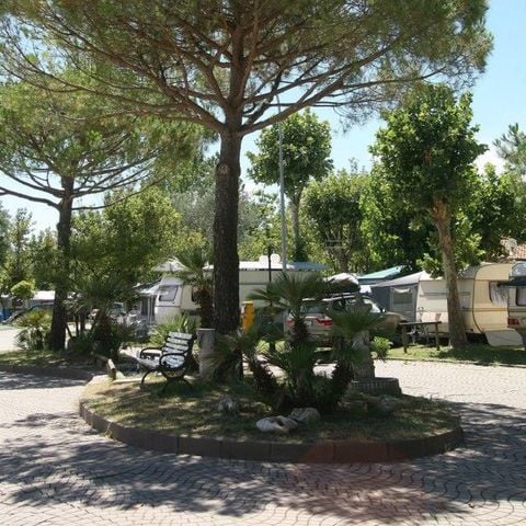 PLOT - car + tent/caravan or camper + electricity