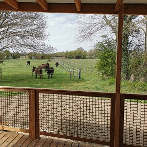 CHALET 6 personas - FAMILIA COTTAGE