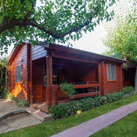 Bungalow 4 persons - C. Junior Oasis