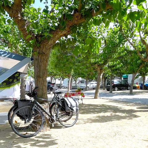 PARCELA - E. Superior