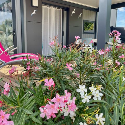 MOBILHOME 4 personas - ECOLODGE CONFORTABLE (DF01) - 2 HAB - AIRE ACONDICIONADO - WIFI - PISCINA/JACUZZI