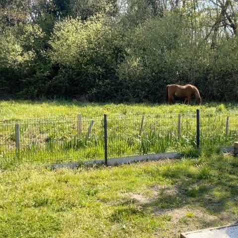 Stacaravan 4 personen - COMFORTABELE ECOLODGE (DF23) 2BED - AIRCO - WIFI