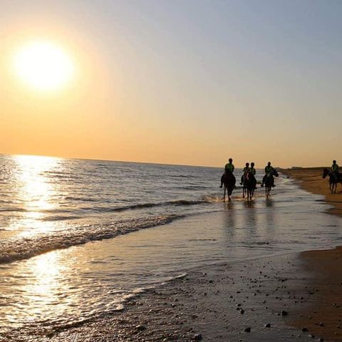Résidence Le Domaine des Fontenelles : Maisons - Camping Vendée - Image N°6