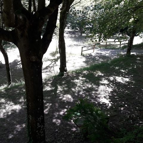 Kampeerplaats - Tent