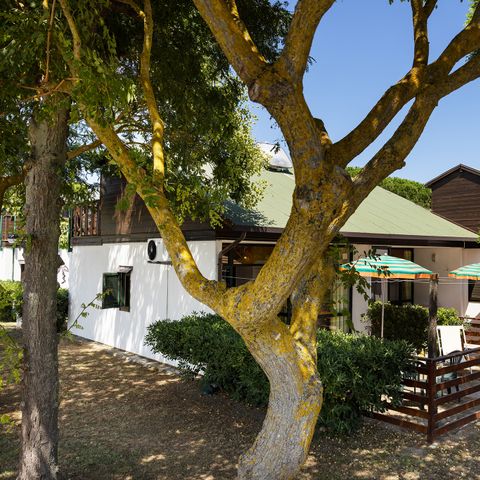 Bungalow 6 personen - HOND