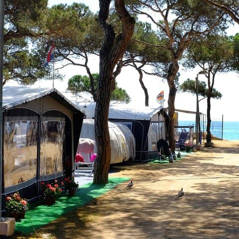 STAANPLAATS - Standaard steek