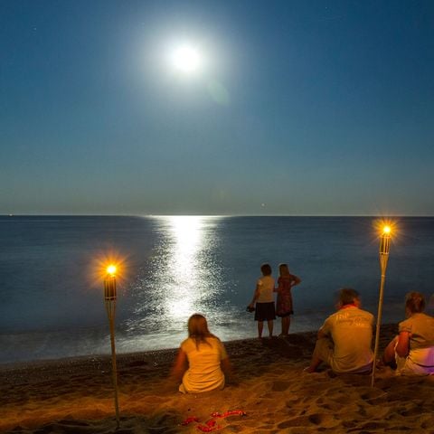 Camping El Pinar  - Camping Girona - Image N°3