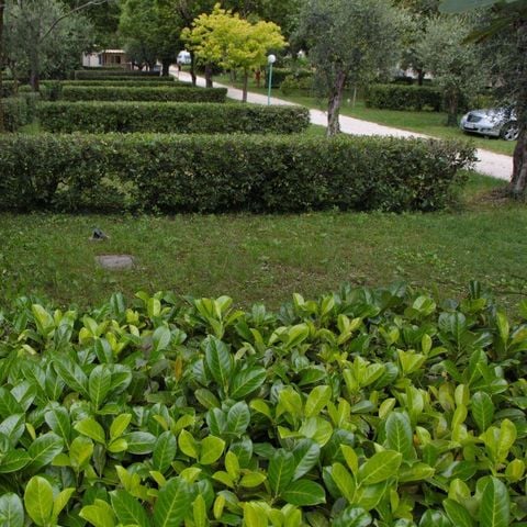 PLOT - Pitch A + vehicle + electricity 6A + water evacuation 60 m².