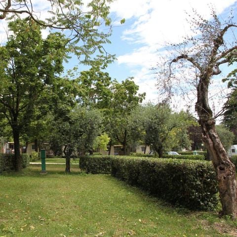 Pitch - Pitch A (only camper van) + 6 amp electricity + water point, 60m2