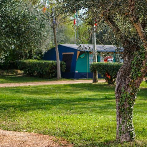 Kampeerplaats - Standplaats XL Pool (Camper/Roulotte + elektriciteit 10A + waterpunt), 110/120 m2