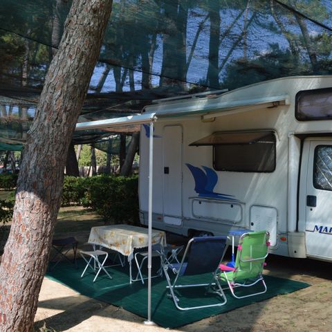 Stellplatz - Standard pineta/quercia