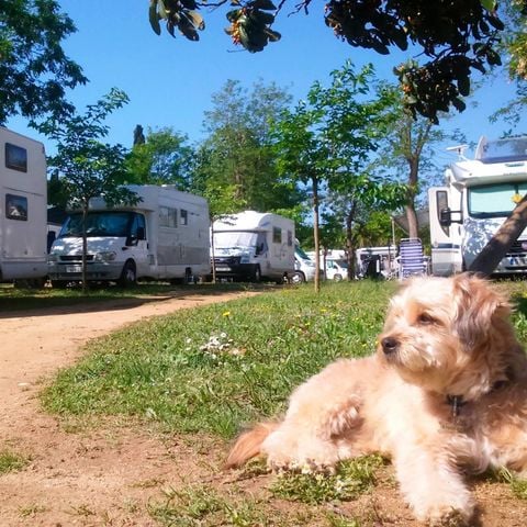 PLOT - motorhome 7m max.