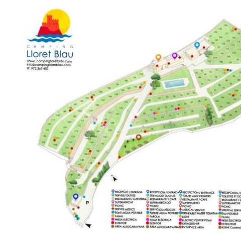 Stellplatz - Wohnwagen + Auto