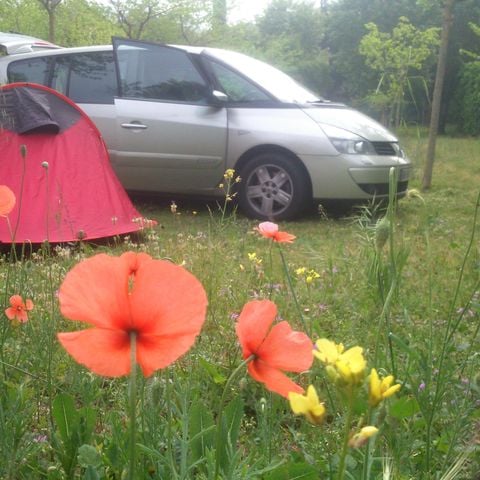 Stellplatz - Zelt + Auto