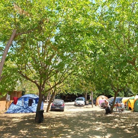 PIAZZOLA - Tenda grande