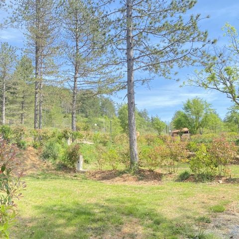 Stellplatz - Stellplatz Confort - Stromanschluss 10A + Wasser + 120m²