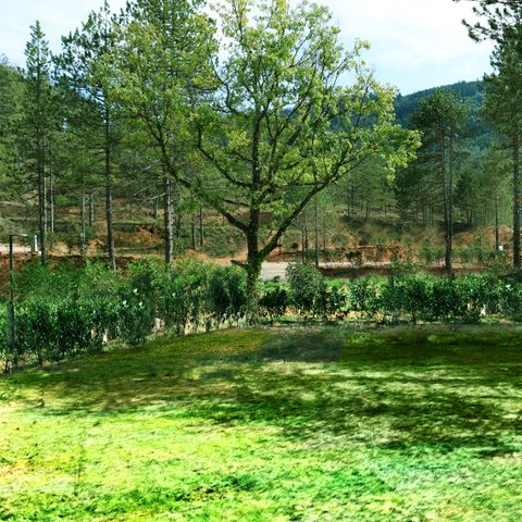 PARCELA - Parcela Confort - 10A electricidad + agua + 120 m² + 120m² de terreno