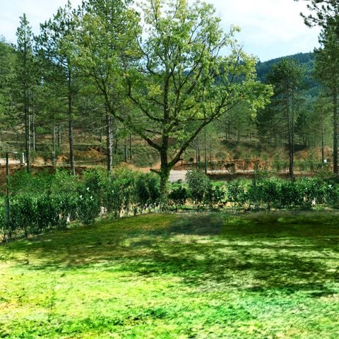 Stellplatz - Stellplatz Confort - Stromanschluss 10A + Wasser + 120m²