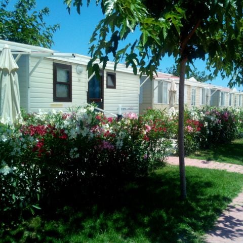 MOBILHOME 5 personas - OLEANDRI TRILO