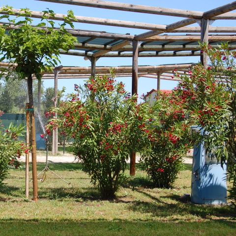 PIAZZOLA - Piazzola Oleandri 6x13 m.